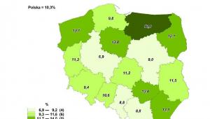 Stopa bezrobocia na koniec czerwca 2015, źródło: GUS